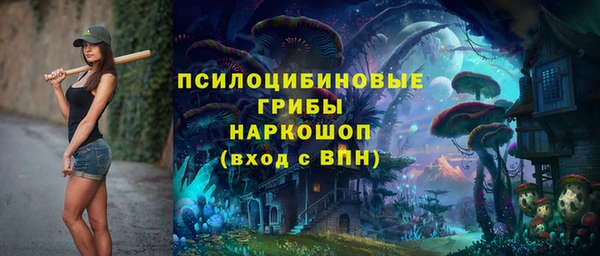 эйфоретик Баксан
