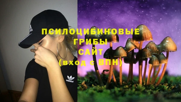 эйфоретик Баксан