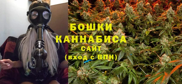 эйфоретик Баксан