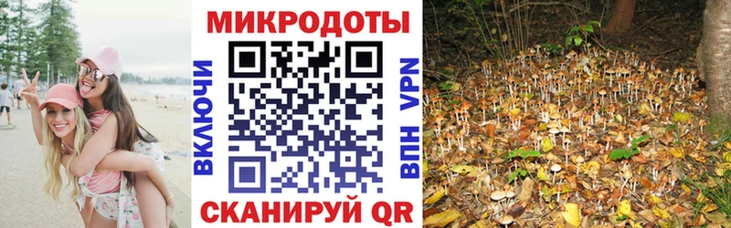 цены наркотик  Ворсма  Псилоцибиновые грибы Psilocybe 